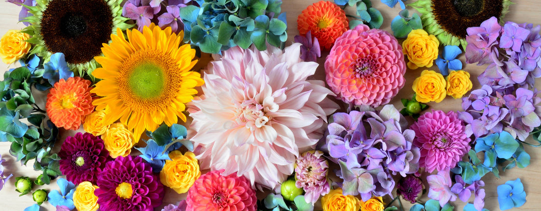 Saying Goodbye to the Blooms of Summer...