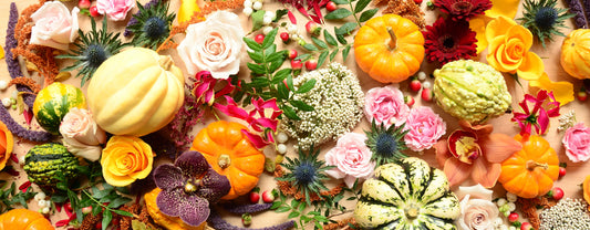 Hello Fall Flowers!