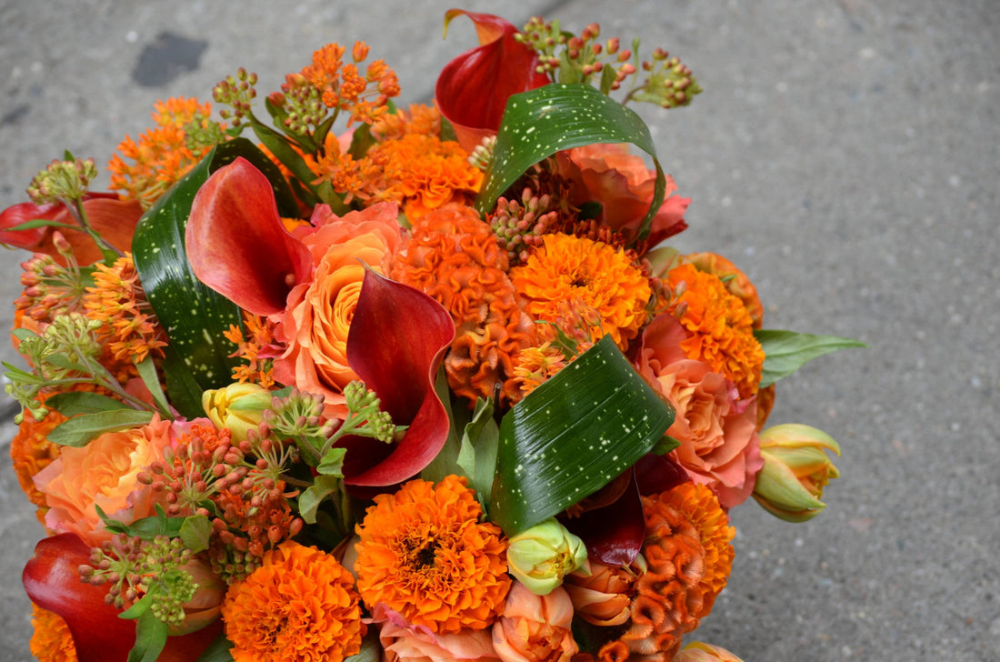 Color Therapy: Uplift with Orange!