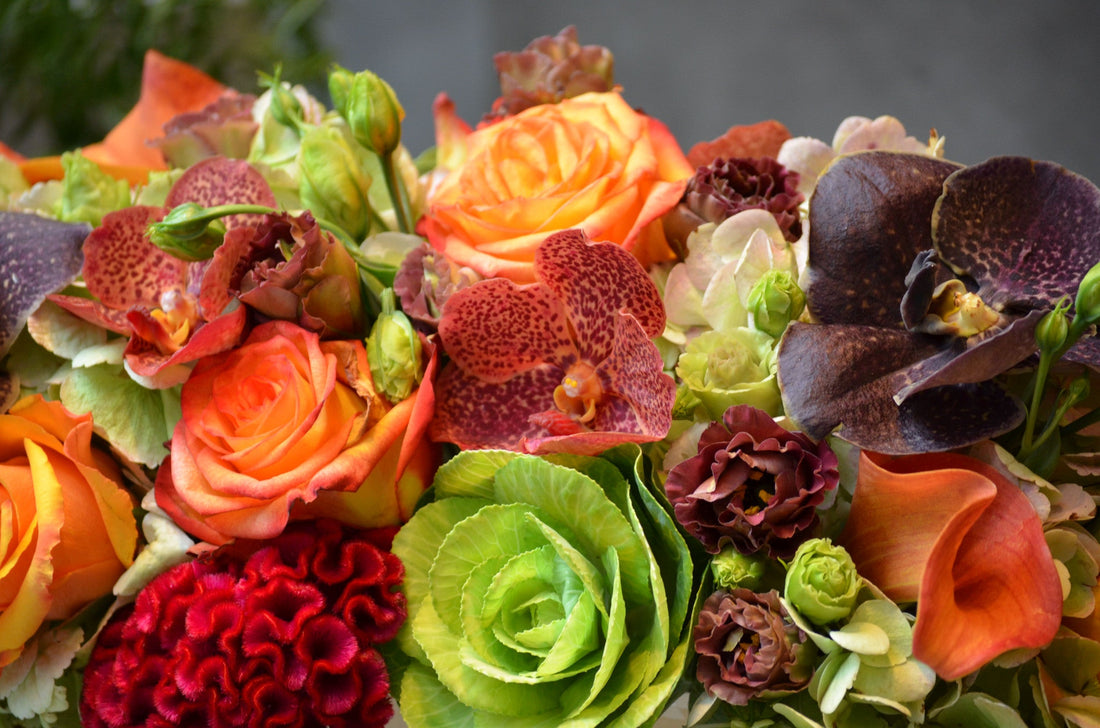 Autumn Collection 2015