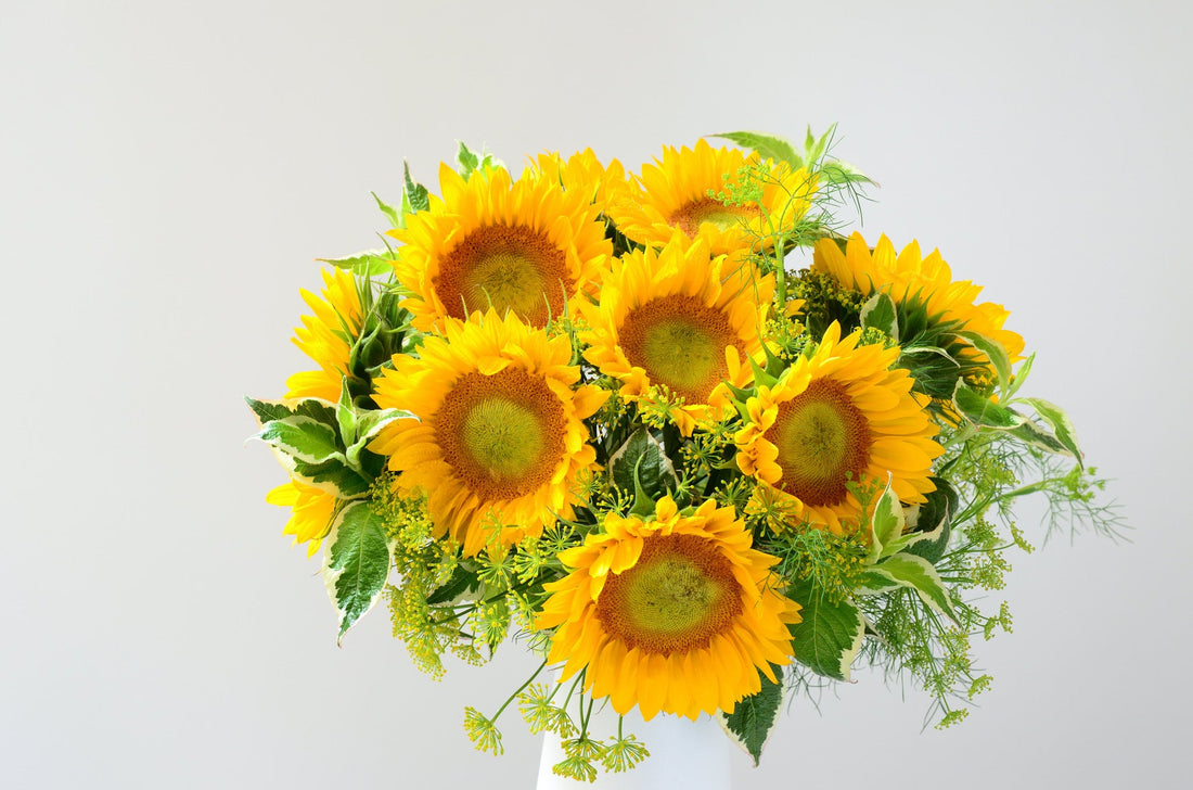 Here's This Week's Flower Fact Friday