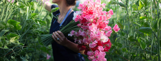 April 2015 Flower of the Month
