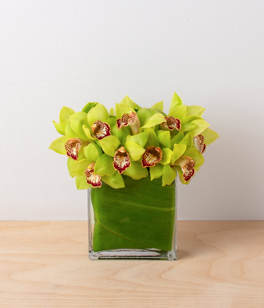 Why Flowers Are the Perfect Gift—Even Without an Occasion