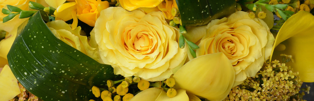 Scotts Flowers featured in Lord and Taylor Storefront Window