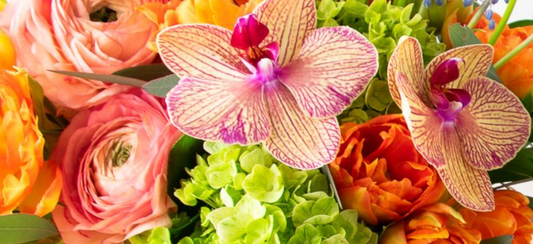 What Makes Scotts The Premier NYC Flower Shop