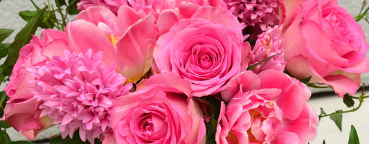 Celebrating Women for International Women's Day