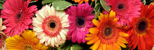 Celebrate National Friendship Day this Sunday, August 2nd!