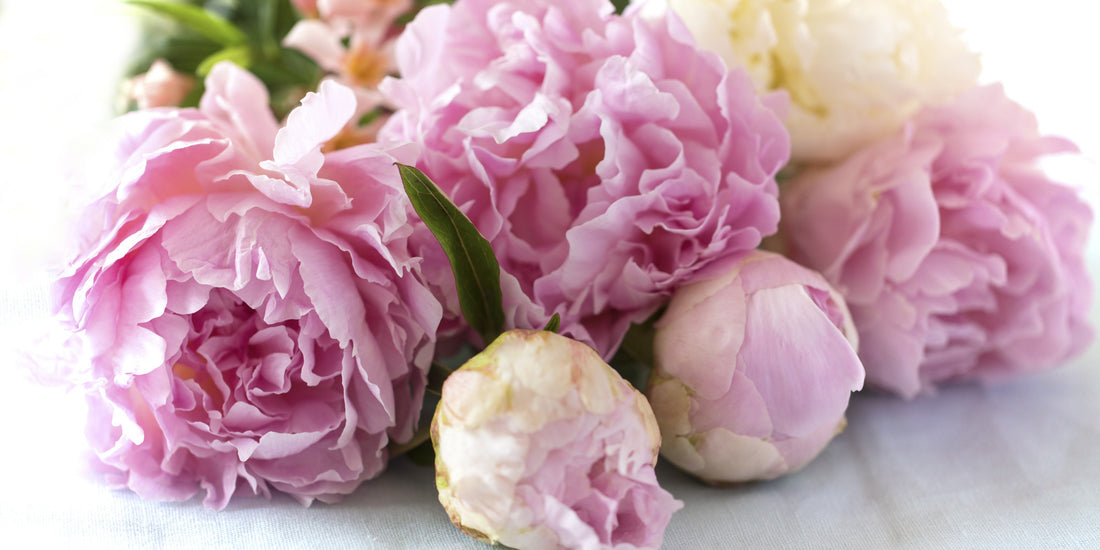 Say "I do" in style with Scotts Flowers NYC!