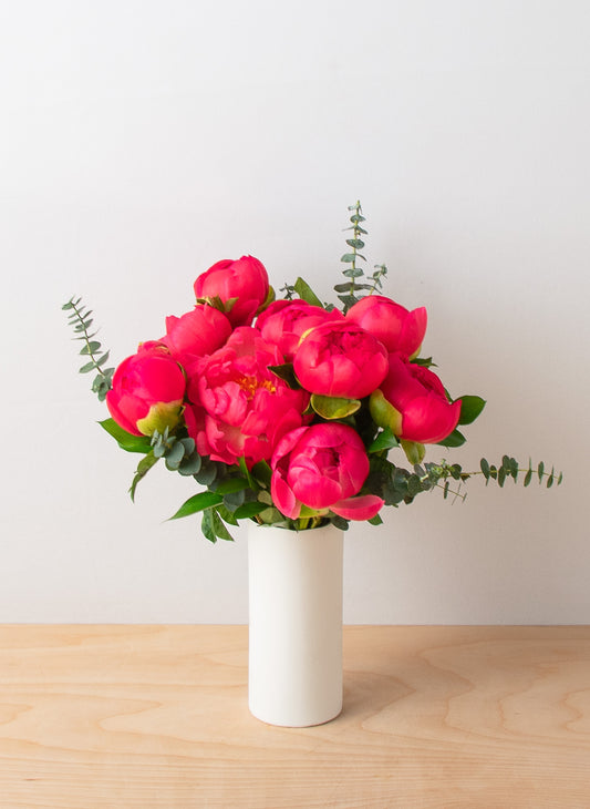 Chic Peonies - Coral