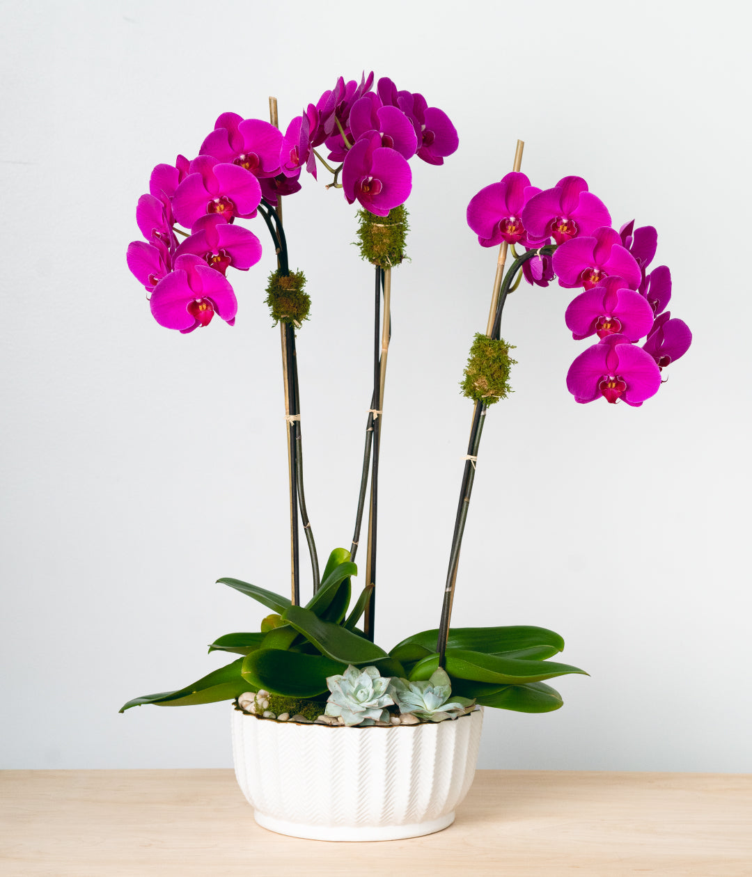 Purple Orchid - Triple