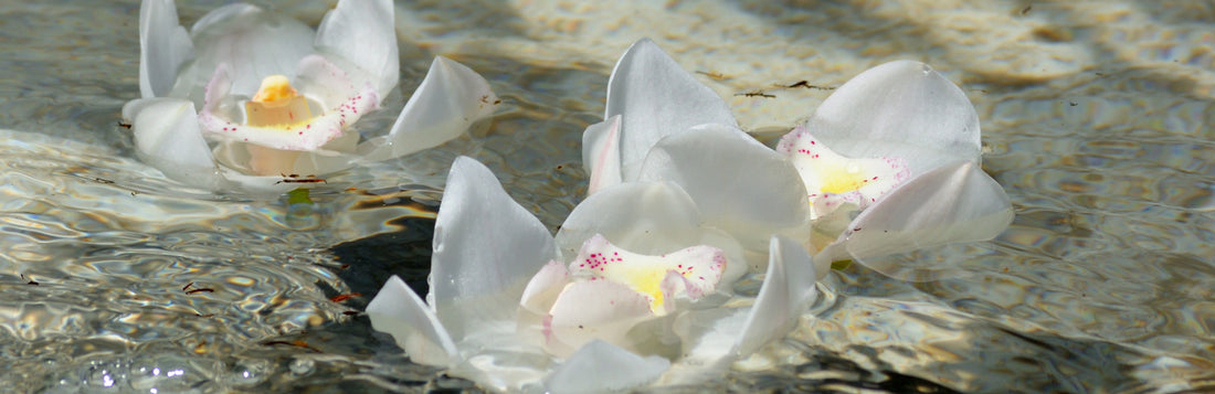 A Whirlwind NYC Wedding