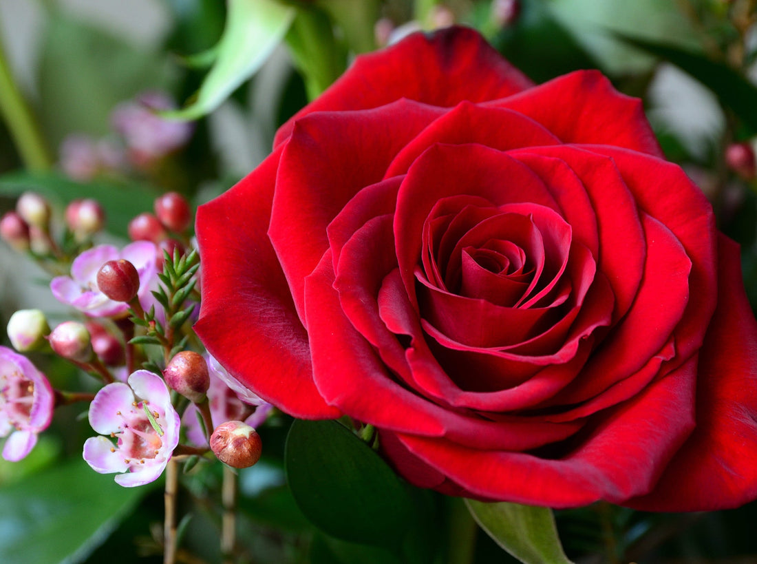 2017's Top 5 Hottest Valentines Day Trends in Flowers