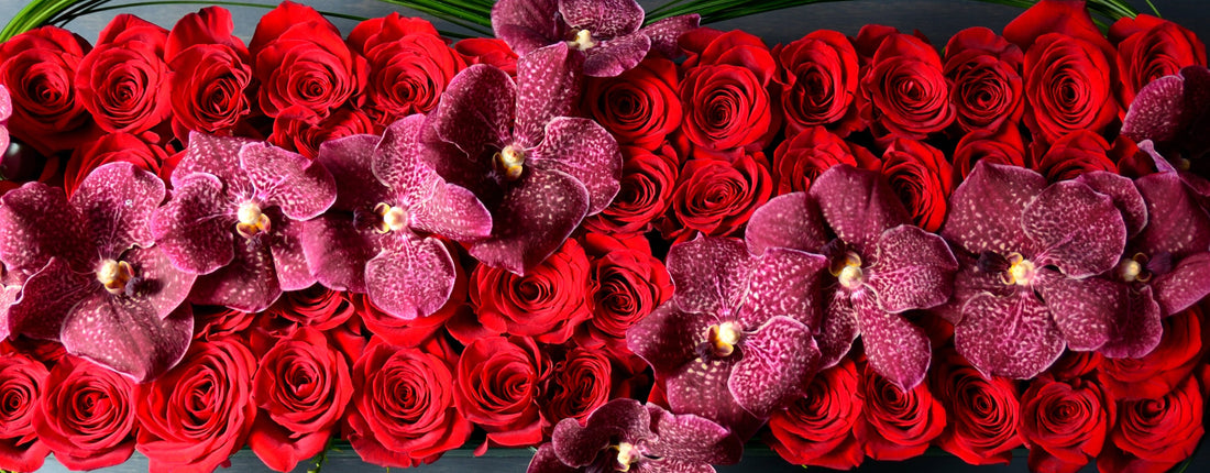 Romantic Flower Collections for Your Loved Ones in NYC