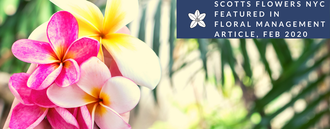 Scotts Flowers Featured in Society of American Florist Magazine Issue