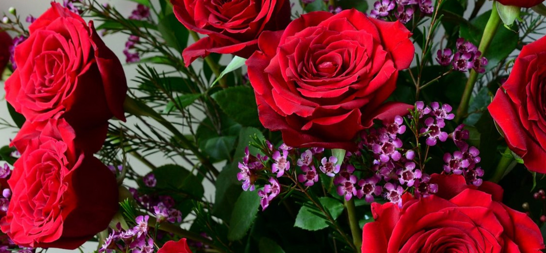Same Day Rose Delivery in NYC