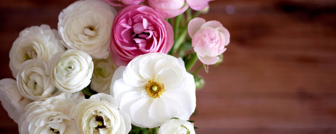 Spring Is Here! Let's Get Ranunculus!