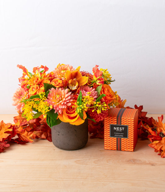 Amber Nights & Chai Lights Set