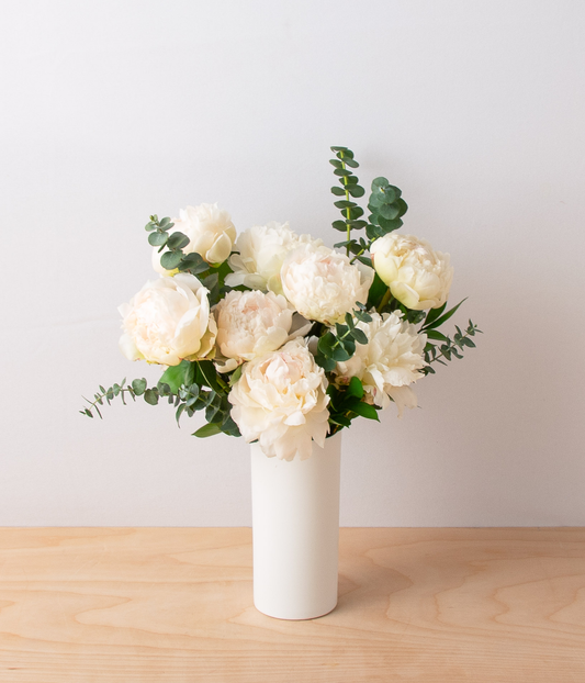 Chic Peonies - Ivory