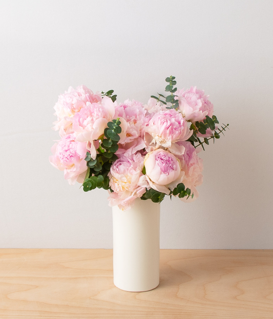 Chic Peonies - Pink