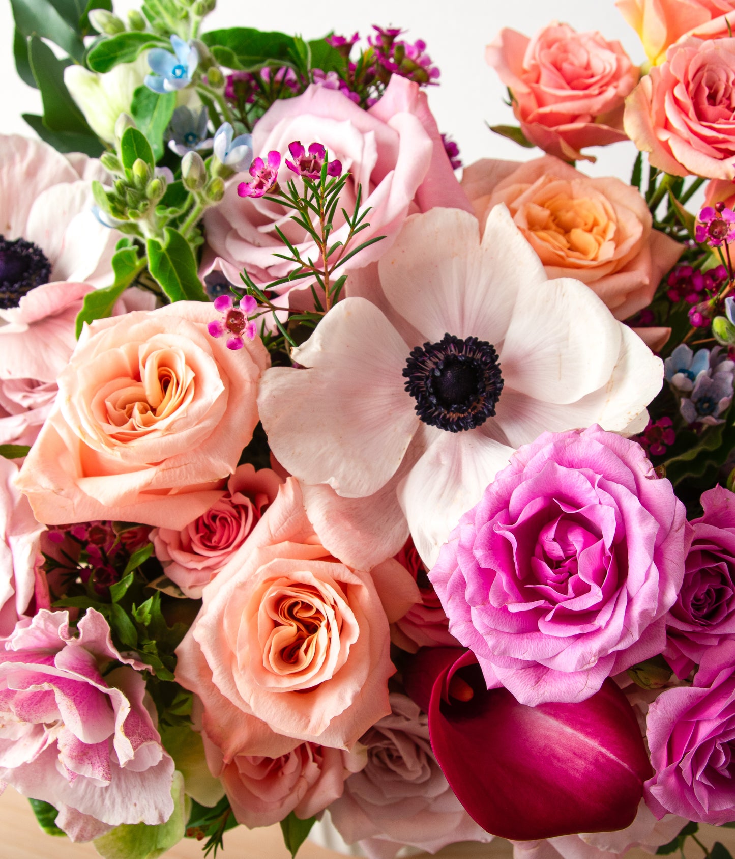 Designer's Choice - Winter Mix