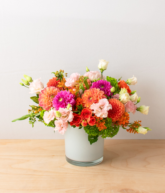 Dazzling Dahlias
