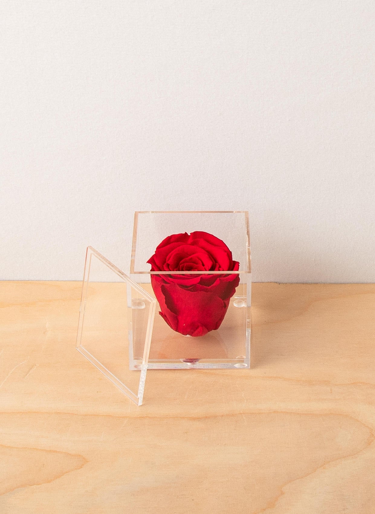Everlasting Rose - Red