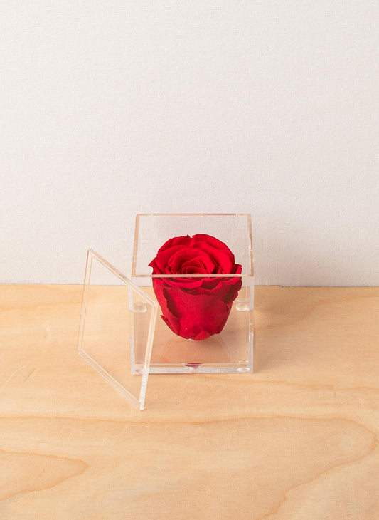 Everlasting Rose - Red