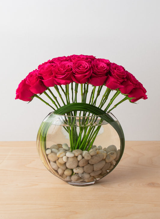 Modern Roses - Hot Pink - 2 Dozen