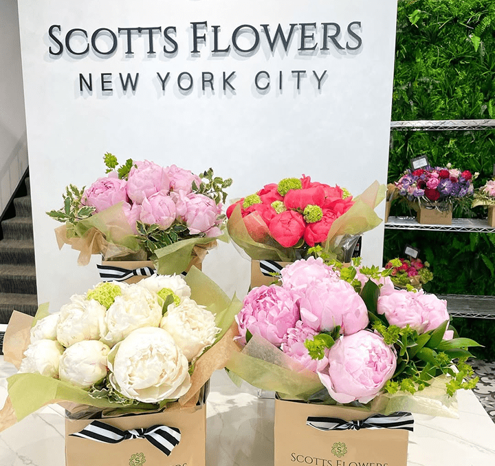 Scotts flowers NYC for all queens flower needs