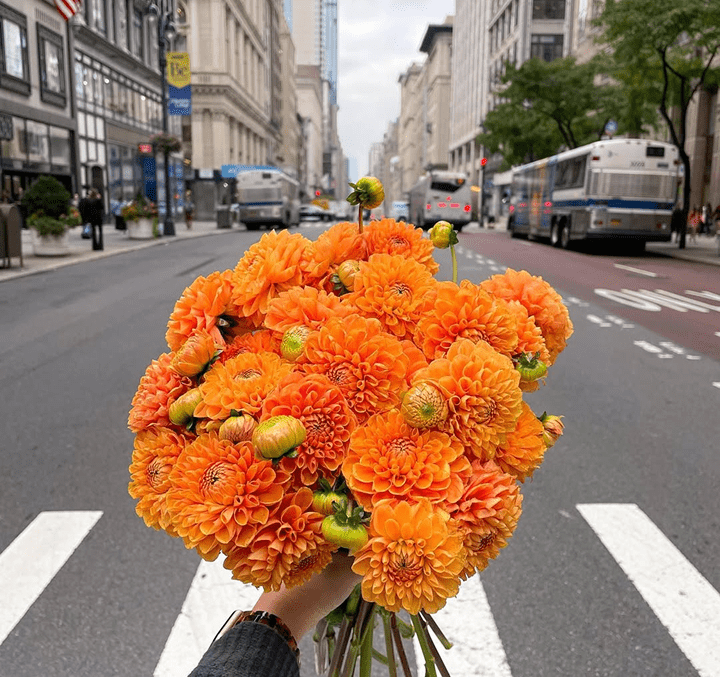 Upper east side flower delivery scotts flowers NYC