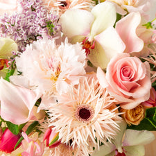 Mother's Day