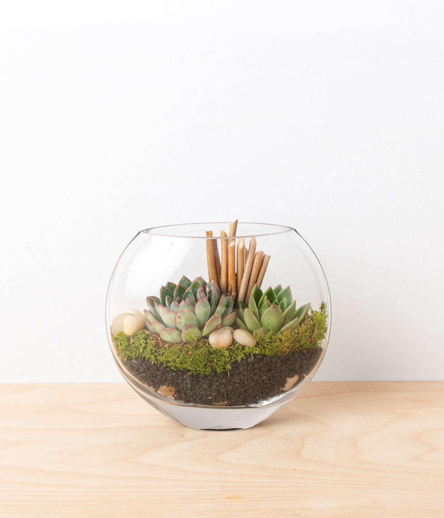 Succulent Terrarium