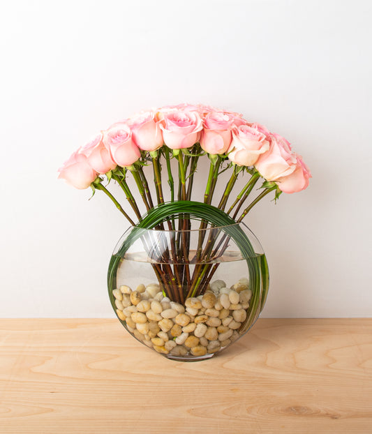 Modern Roses - Blush Pink - 2 Dozen
