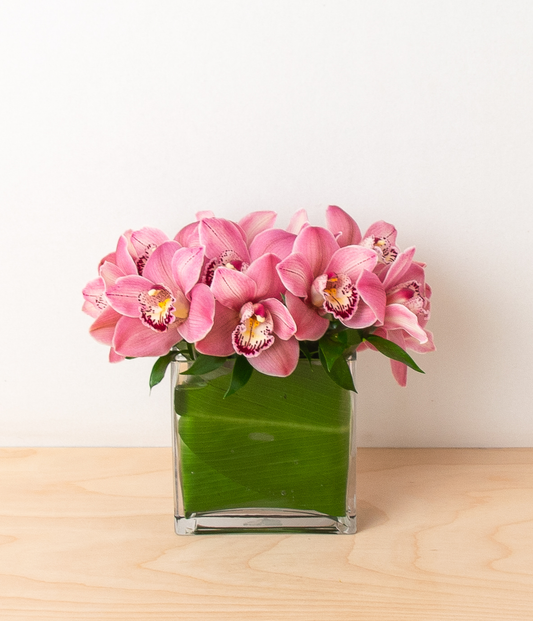Park Slope - Pink