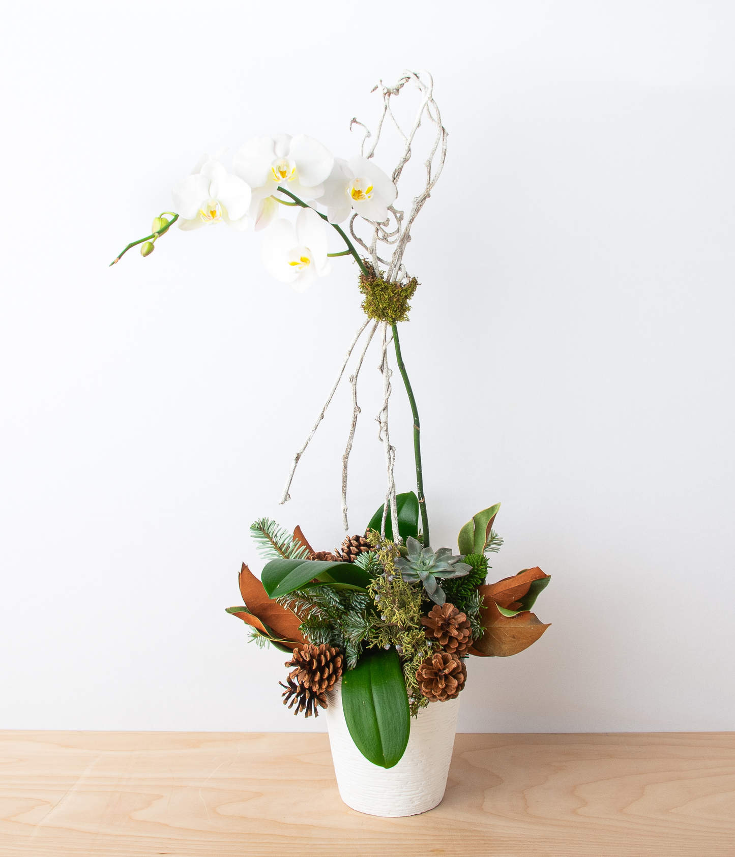 Yuletide Orchid - Single